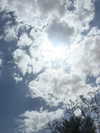 michal_cohen017 Altpins Profile Picture
