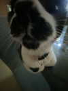 sulisssx Altpins Profile Picture
