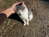 marlene_808 Altpins Profile Picture