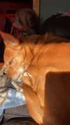 bat.wiings Altpins Profile Picture