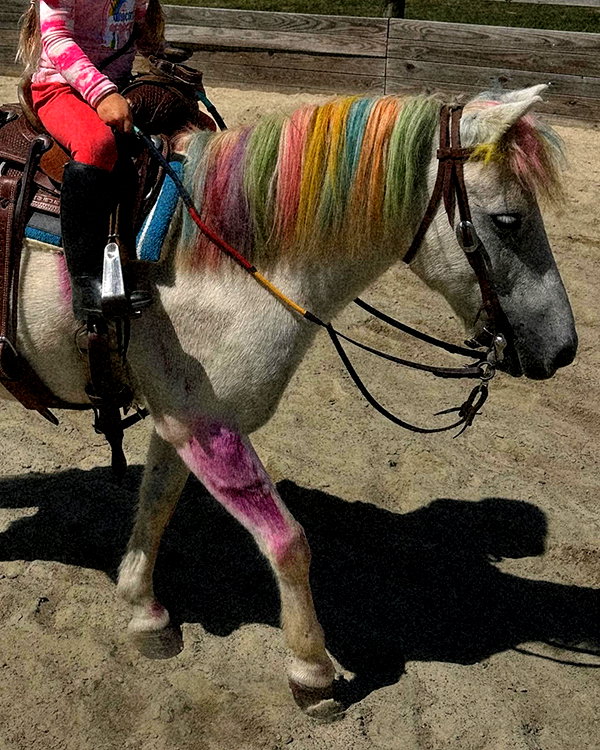 gigihadid instagram image archive image