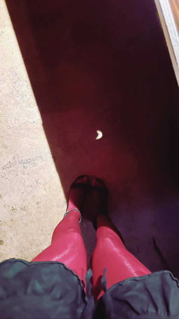 haileylayfield instagram image archive image