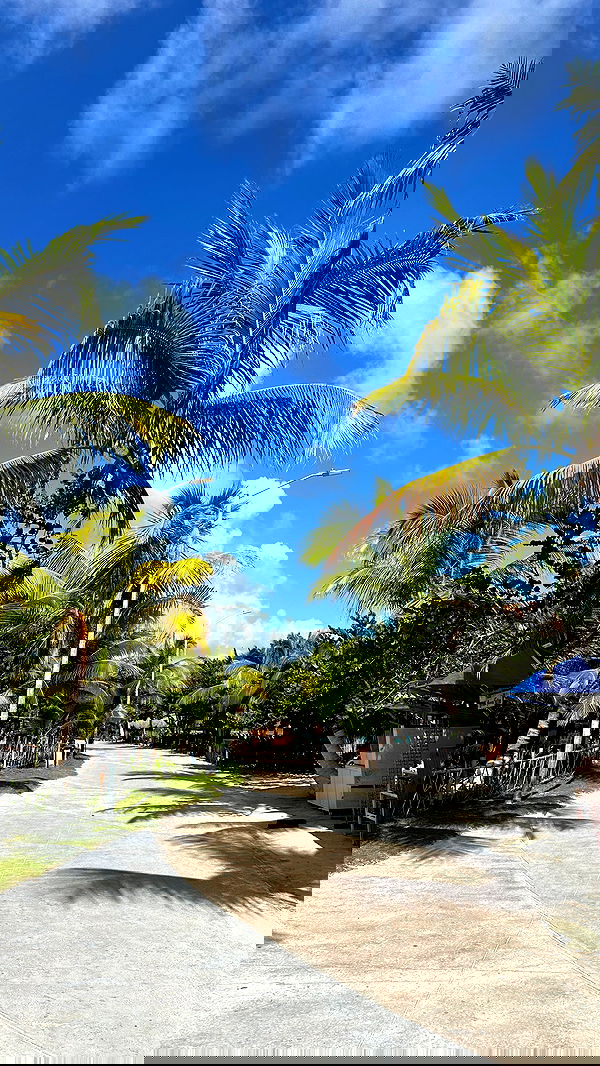 manjolamuriqi manjolamuriqi archive image