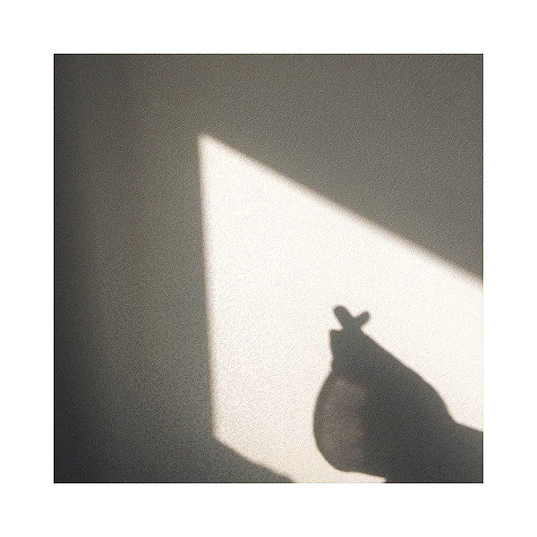 daxbin instagram image archive image