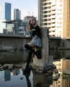 karin_orhov Altpins Profile Picture