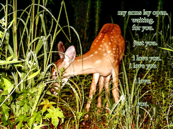 bugz4brainz instagram image archive image