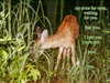 bugz4brainz Altpins Profile Picture