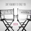 shakira Altpins Profile Picture
