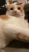 jiw_____n Altpins Profile Picture