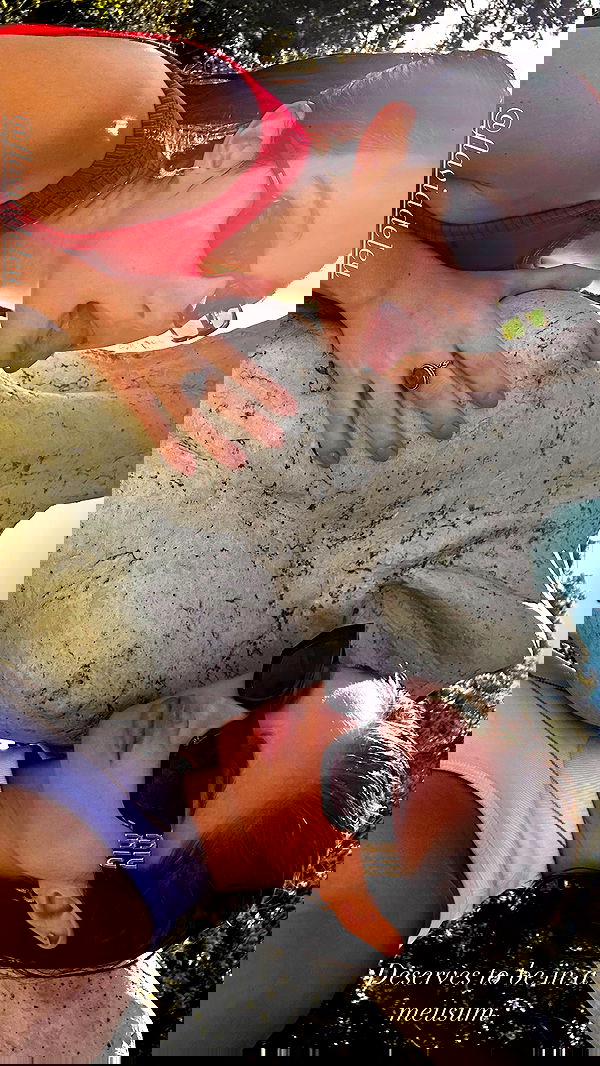 taylor.creeden taylor.creeden archive image