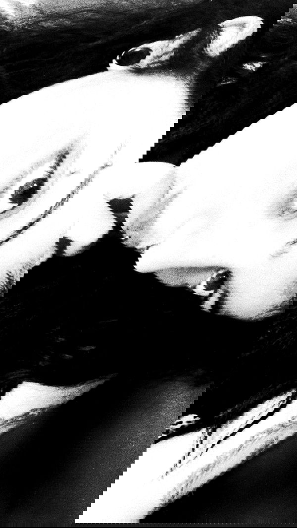 romy_ayalla_lavi romy_ayalla_lavi archive image