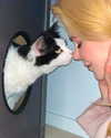 nicolekidman Altpins Profile Picture