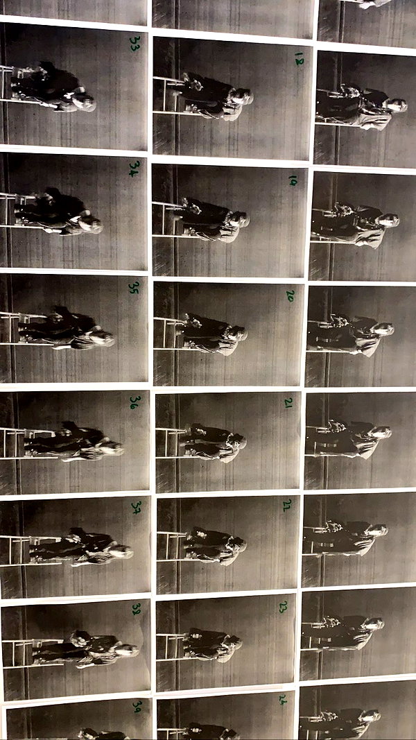 emleecordeiro instagram image archive image