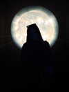 x.angelzk Altpins Profile Picture