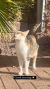 cata.leyah Altpins Profile Picture
