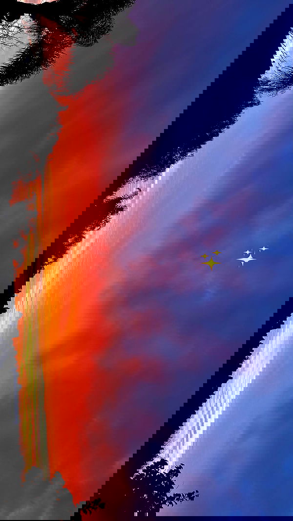 agam_nachman agam_nachman archive image