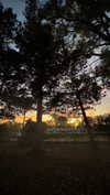 jeanlouiee Altpins Profile Picture
