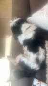 babynympho_archive Altpins Profile Picture