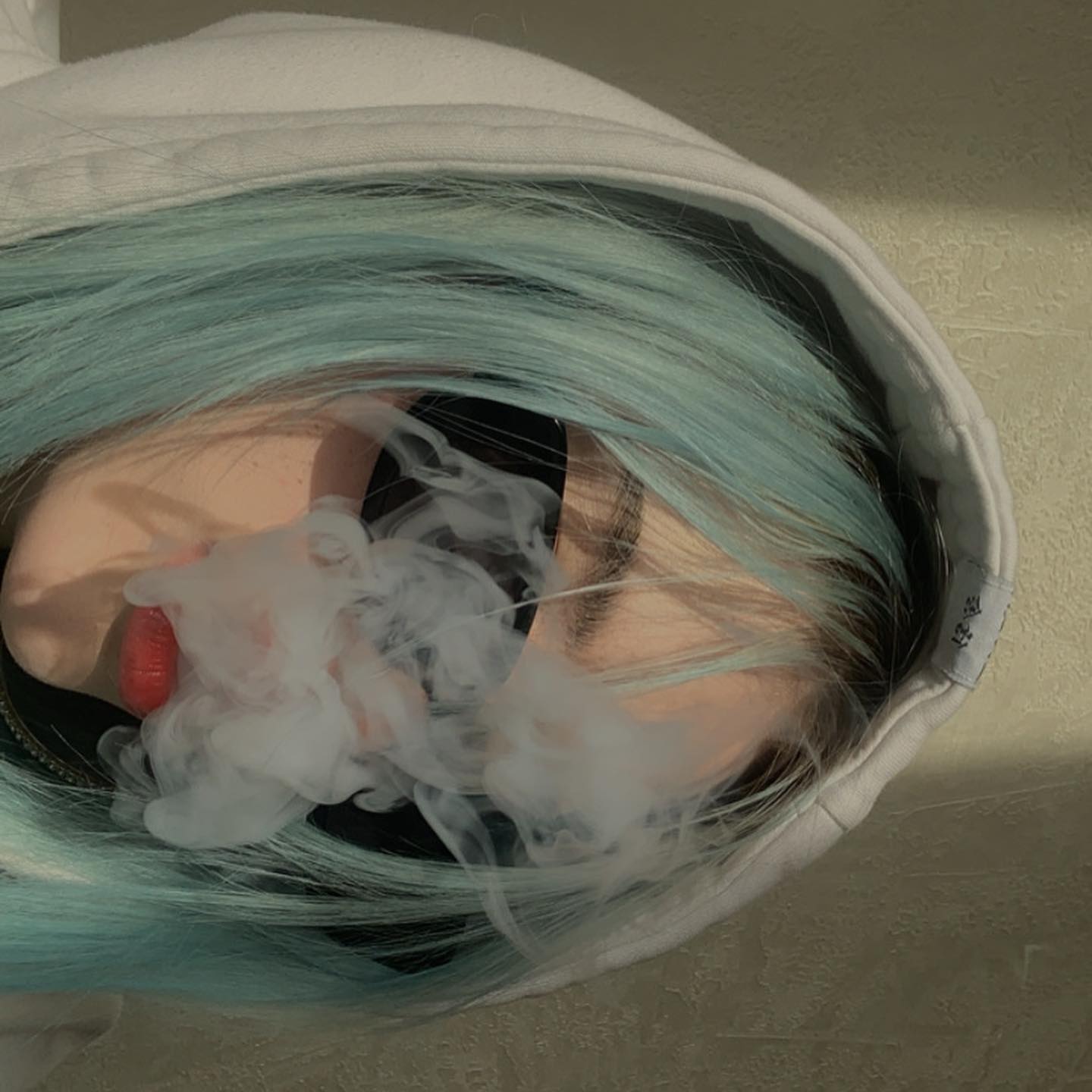 annfigmax instagram image archive image