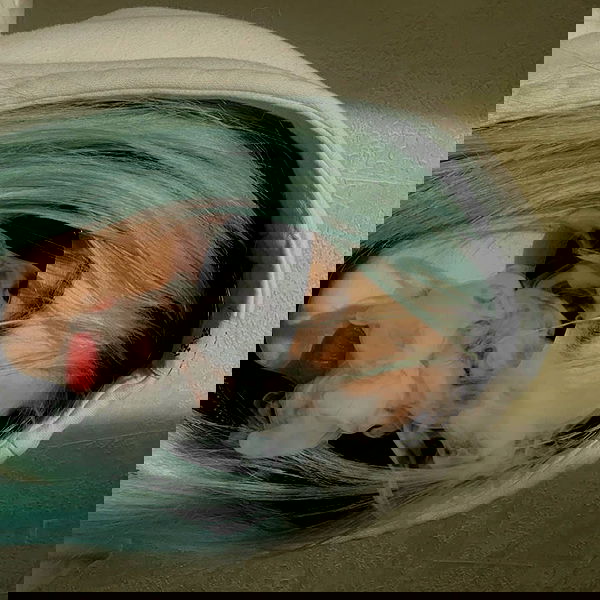 annfigmax image ~ Altpins