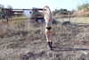 karin_orhov Altpins Profile Picture