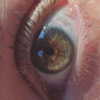 haileylayfield Altpins Profile Picture