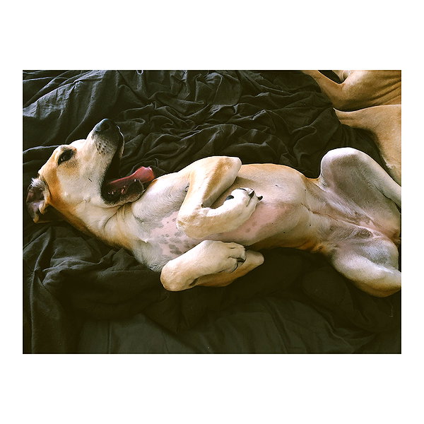 sashapieterse instagram image archive image