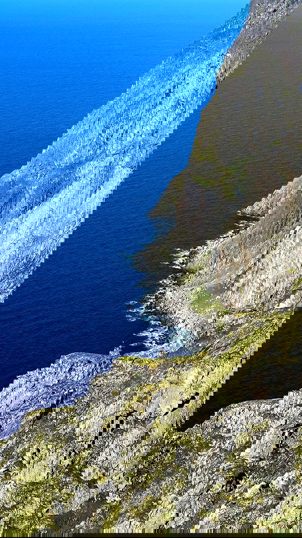 taylor.creeden taylor.creeden archive image