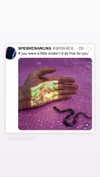 babynympho_archive Altpins Profile Picture