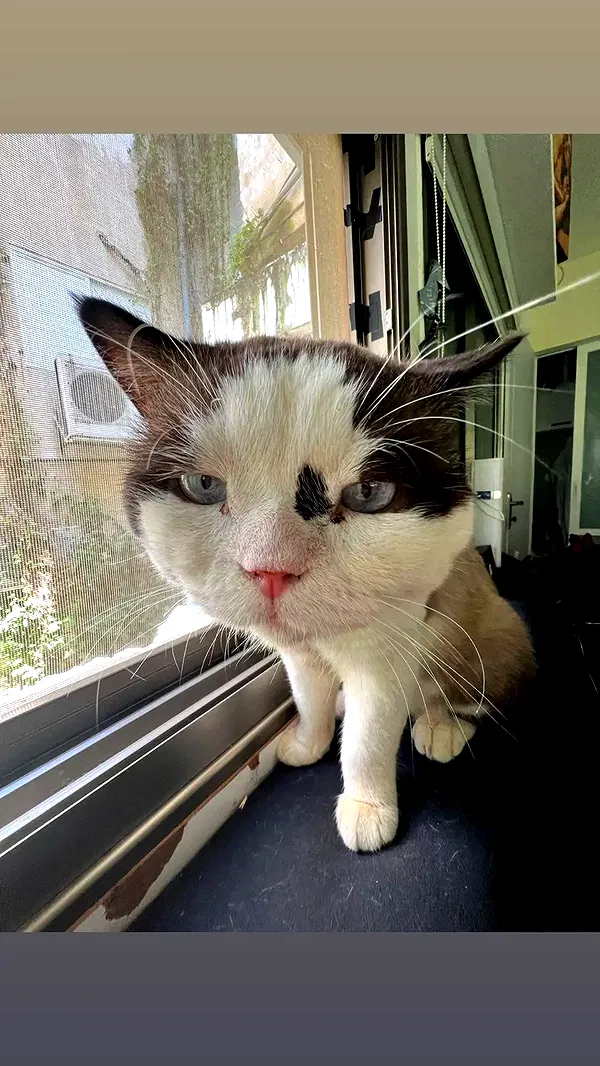 moonyyyya moonyyyya archive image