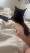 little.warren_ Altpins Profile Picture