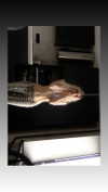 alien.hanna Altpins Profile Picture
