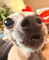 1kyle8_ Altpins Profile Picture