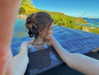 edvarda_ Altpins Profile Picture