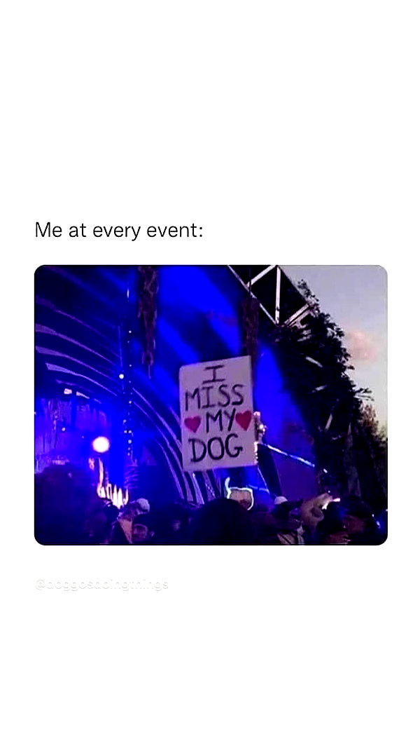 allie_dunn instagram image archive image