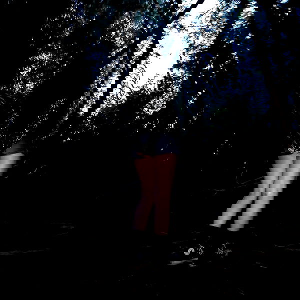 xombunni image ~ Altpins