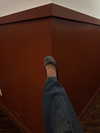 reneeebeller Altpins Profile Picture