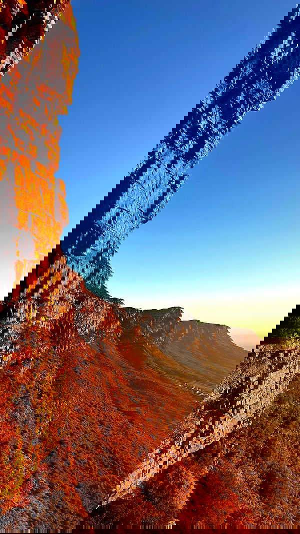 taylor.creeden taylor.creeden archive image