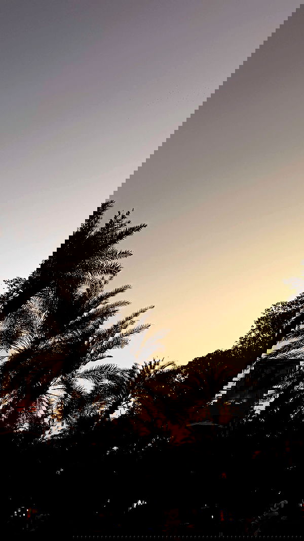 kaciiimae image ~ Altpins