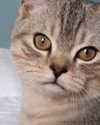 neomiconrad Altpins Profile Picture