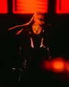 xtina Altpins Profile Picture