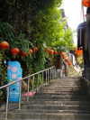 biton__adi Altpins Profile Picture