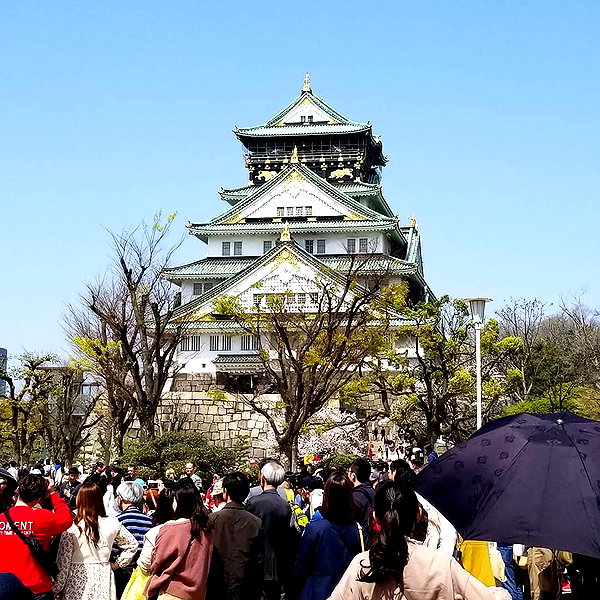 muze instagram image archive image