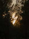 noasoophia Altpins Profile Picture