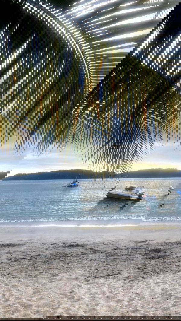 taylor.creeden taylor.creeden archive image