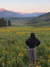 thelizzyporter Altpins Profile Picture