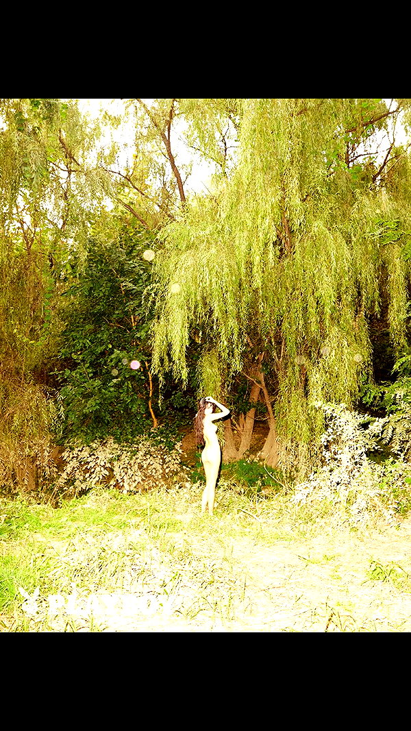 bora__look archive image
