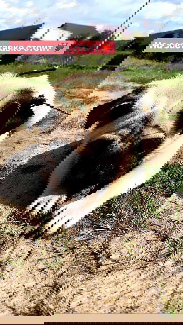 nyityam nyityam archive image