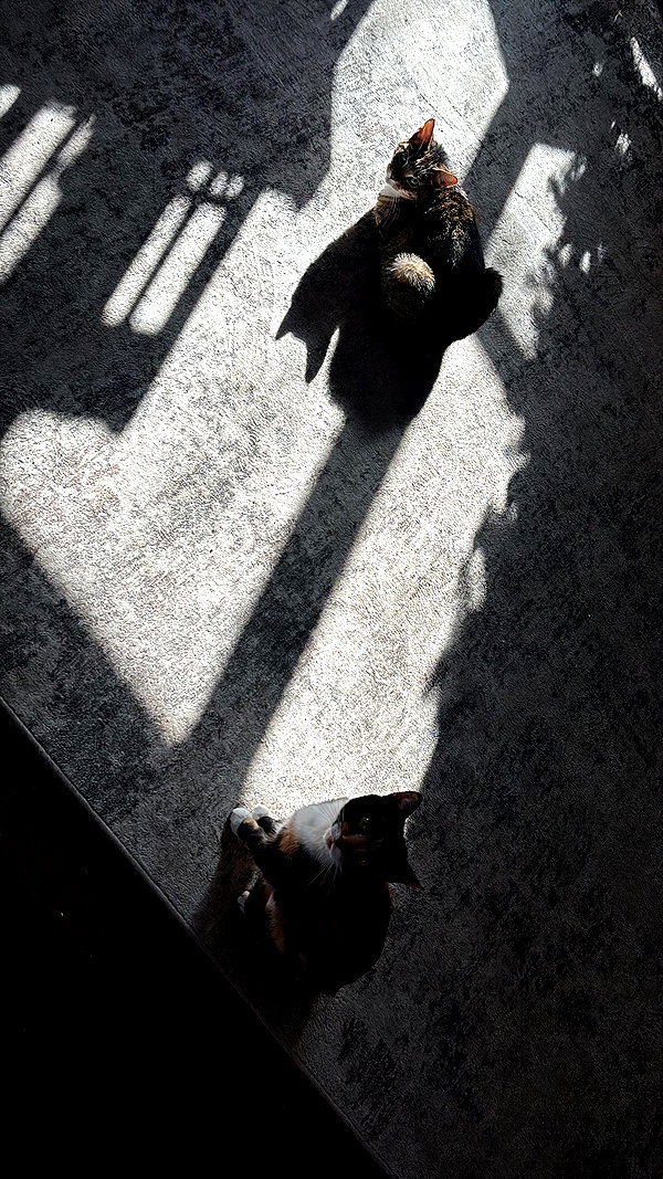 olivia.bolgerr instagram image archive image