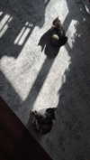 olivia.bolgerr Altpins Profile Picture